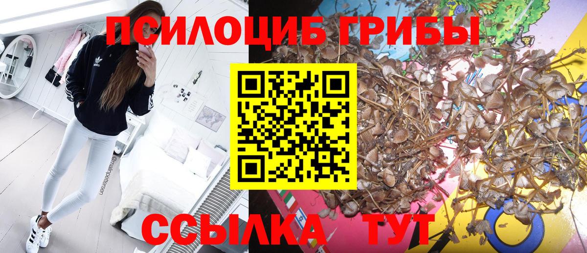 Галлюциногенные грибы Cubensis Рубцовск