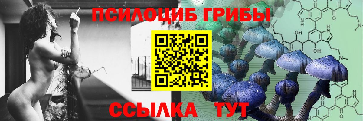 Псилоцибиновые грибы MAGIC MUSHROOMS  Вход с VPN  Рубцовск  дарнет шоп  Псилоцибиновые грибы прущие грибы 
